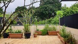 Casabella (D10), Condominium #591387721